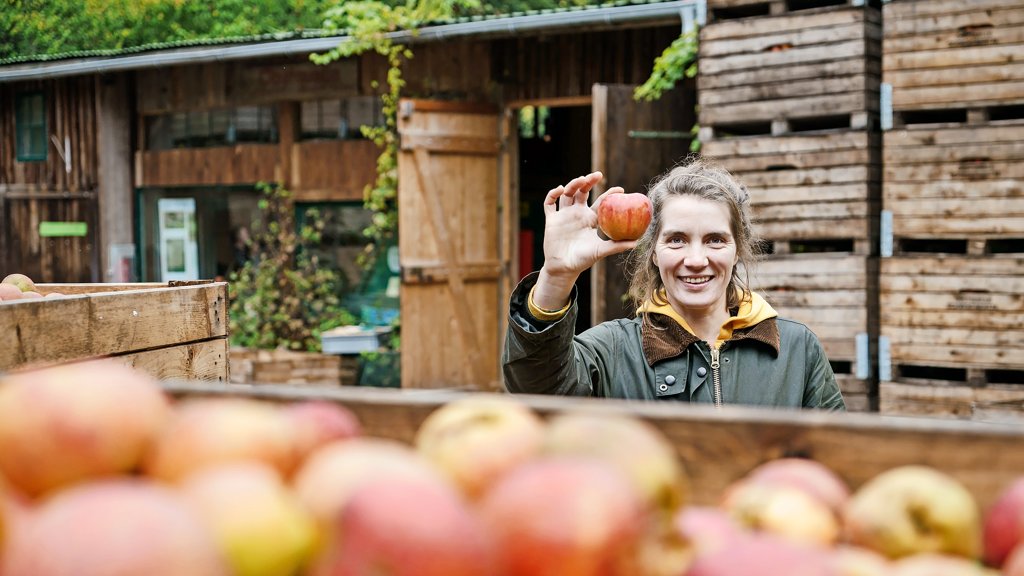 Obstquelle Schuster
